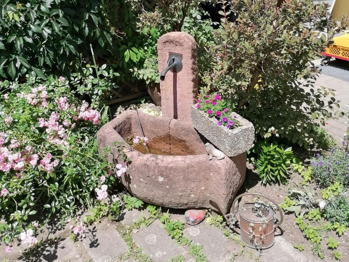 Jogis Ferienwohnungen Freiburg im Breisgau Luaran gambar